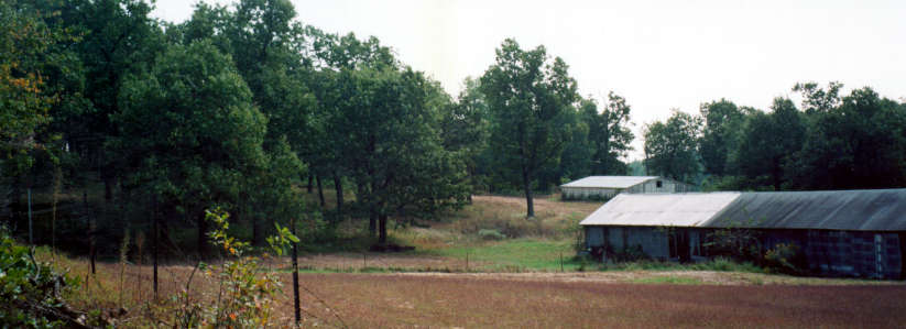panovines.jpg - 40187 Bytes